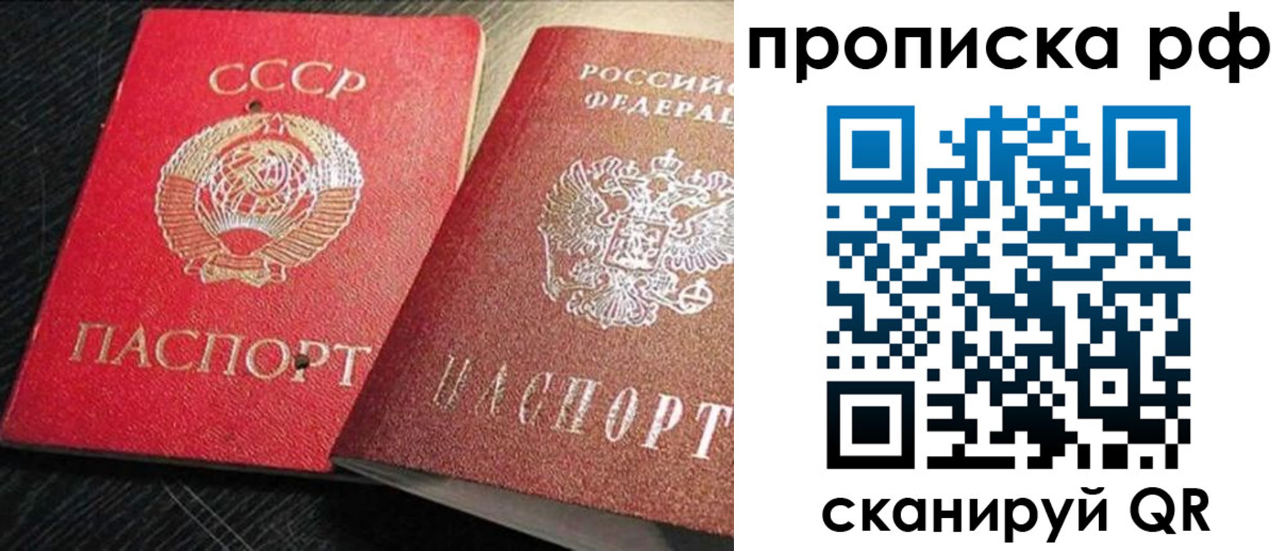 где прописаться в Камышлове